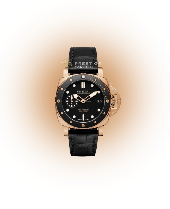 PAM00974 SUBMERSIBLE